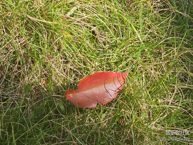 【全鏡影像】陽(yáng)光日子里