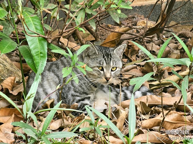 【世間的美好】日常美好