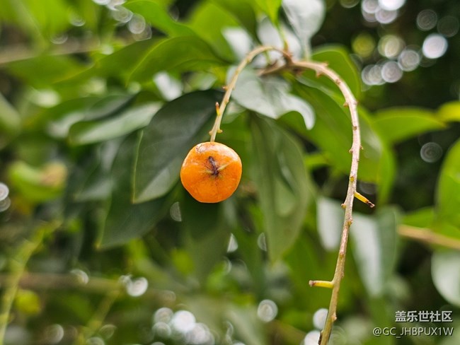 【秋季采風(fēng)計(jì)劃】秋天角落