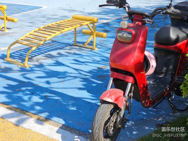 【全鏡影像】陽(yáng)光日子里