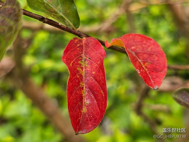 【秋季采風(fēng)計(jì)劃】秋天角落