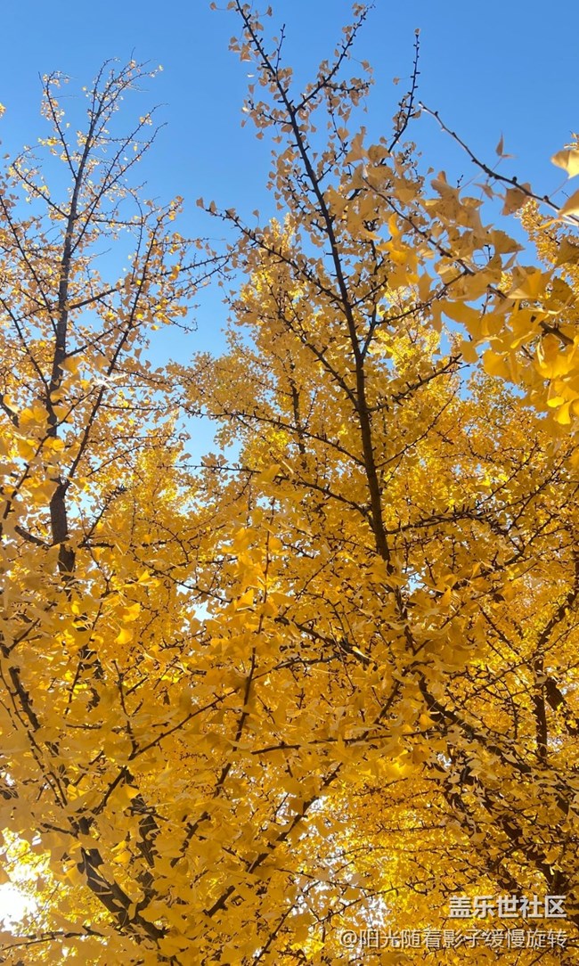 【世間的美好】秋日氛圍