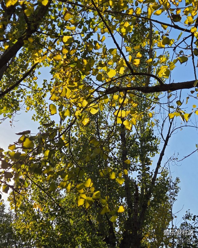 【國慶旅途】自然的美好