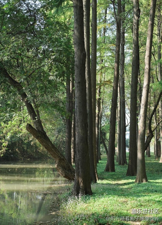 【秋季采風(fēng)計(jì)劃】公園一角