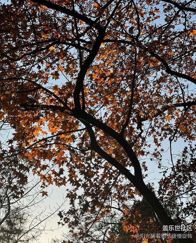 【世間的美好】秋日氛圍