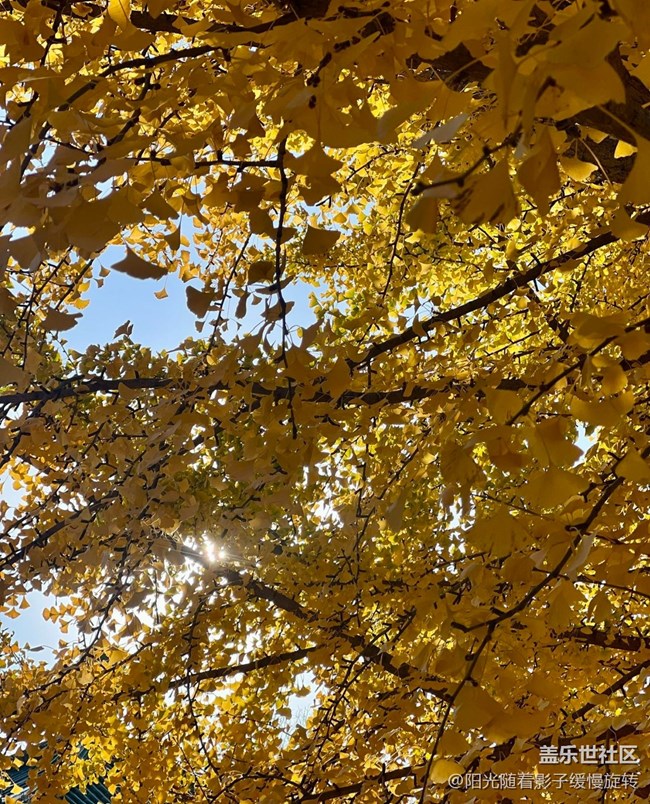 【世間的美好】秋日氛圍