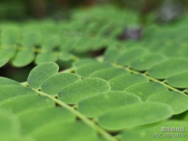 【秋季采風(fēng)計(jì)劃】秋天角落