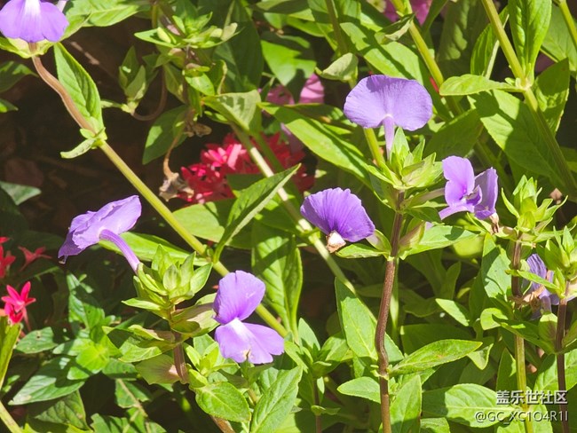 【生活小確幸】日常生活