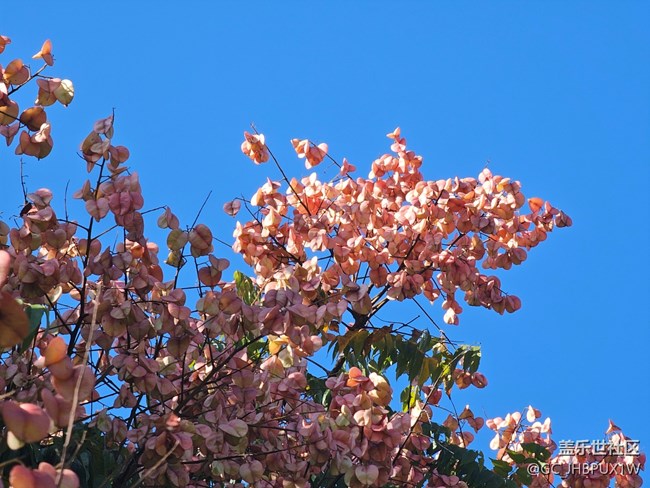 【國(guó)慶旅途】旅行的日子里