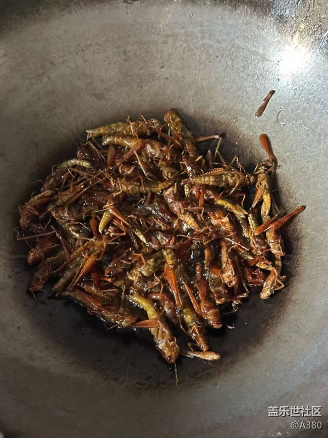 【小雪驅寒食譜】油炸蝗蟲