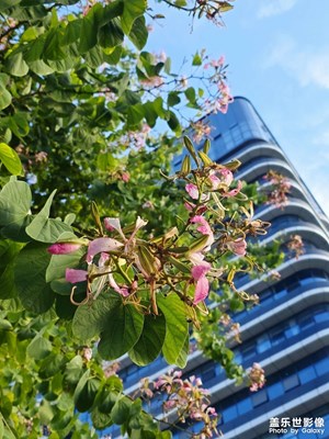 【色彩對話】形形色色