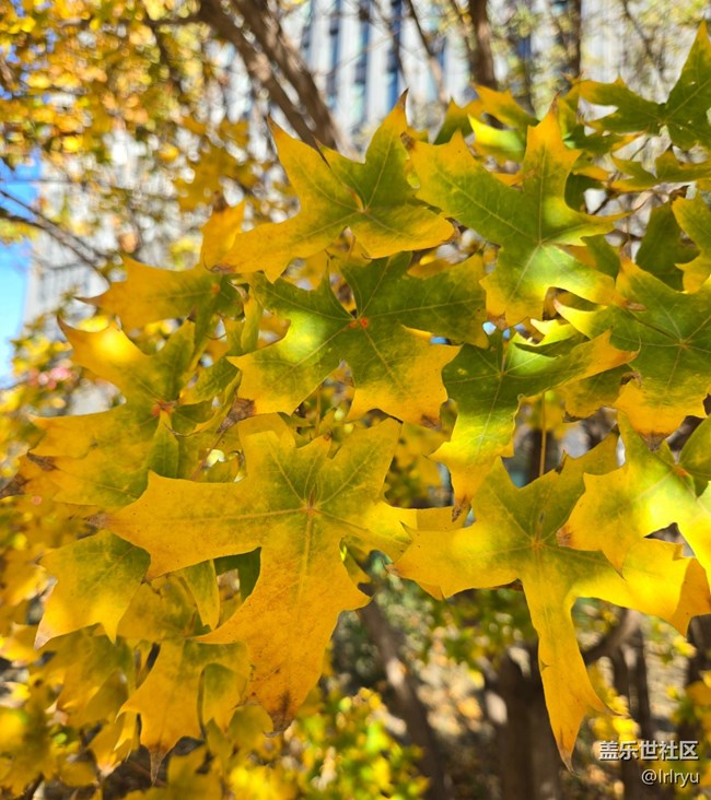 【國慶旅途】自然的美好