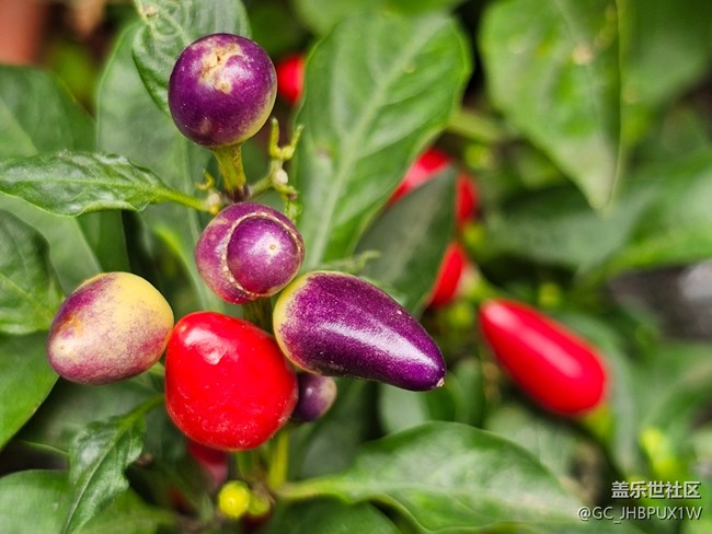 【秋季采風(fēng)計(jì)劃】秋天角落