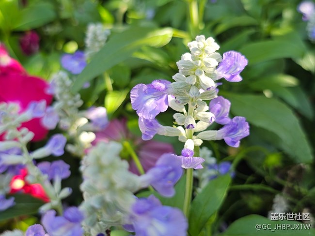 【生活小確幸】好時(shí)光