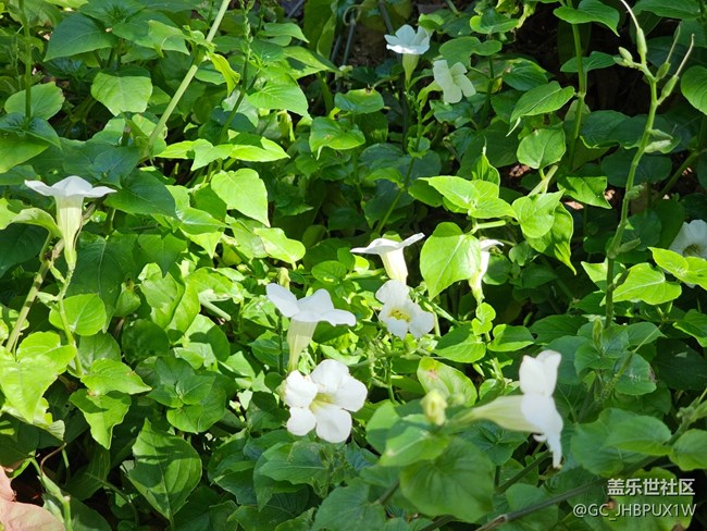 【世間的美好】日常美好