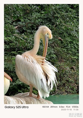 第一次感受到了三星手機相機的魅力