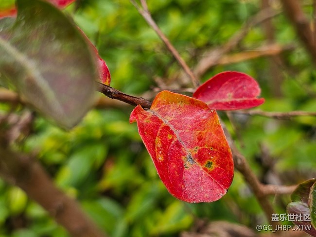 【秋季采風(fēng)計(jì)劃】秋天角落