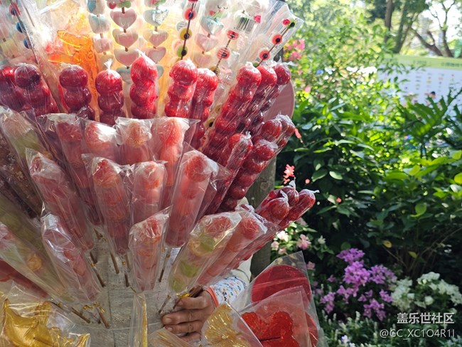 【生活小確幸】日常生活