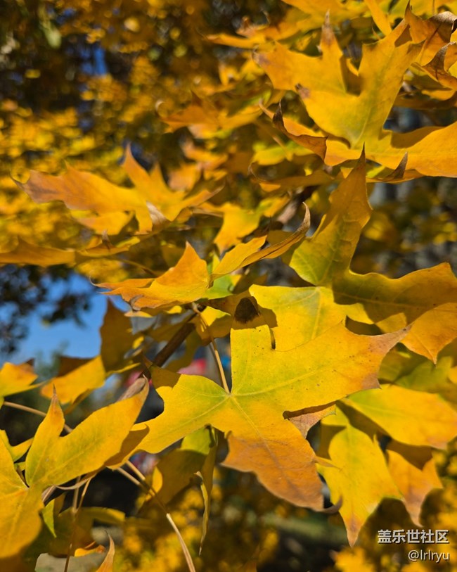 【國慶旅途】自然的美好