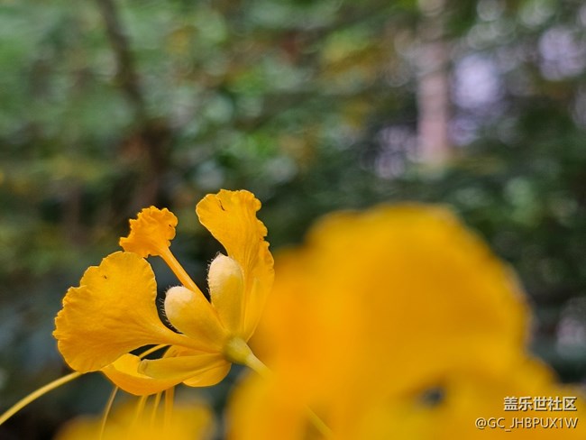 【世間的美好】日常美好