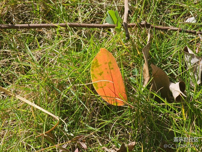 【全鏡影像】陽(yáng)光日子里