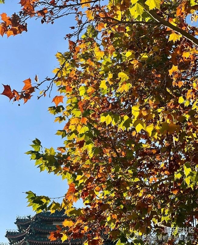 【世間的美好】秋日氛圍