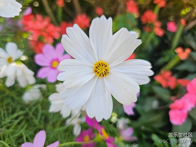 【生活小確幸】好時(shí)光