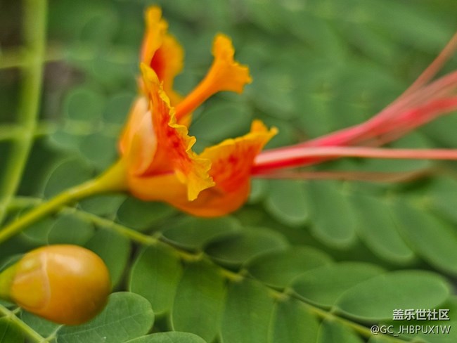 【世間的美好】日常美好