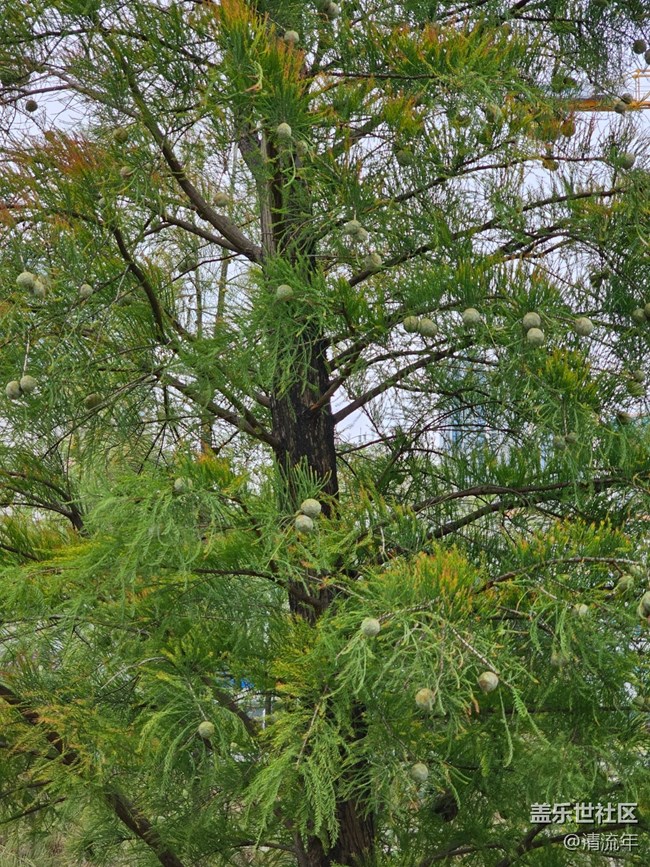 【秋季采風(fēng)計(jì)劃】戶外散步