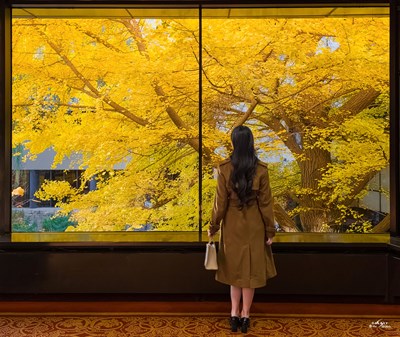 Galaxy S23 Ultra 走進秋天（二）