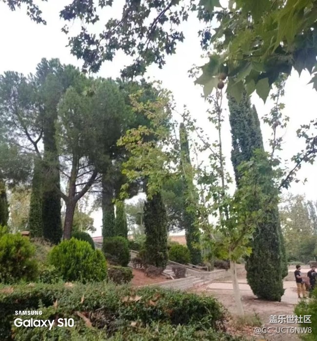 【鵬城尋冬記】秋色