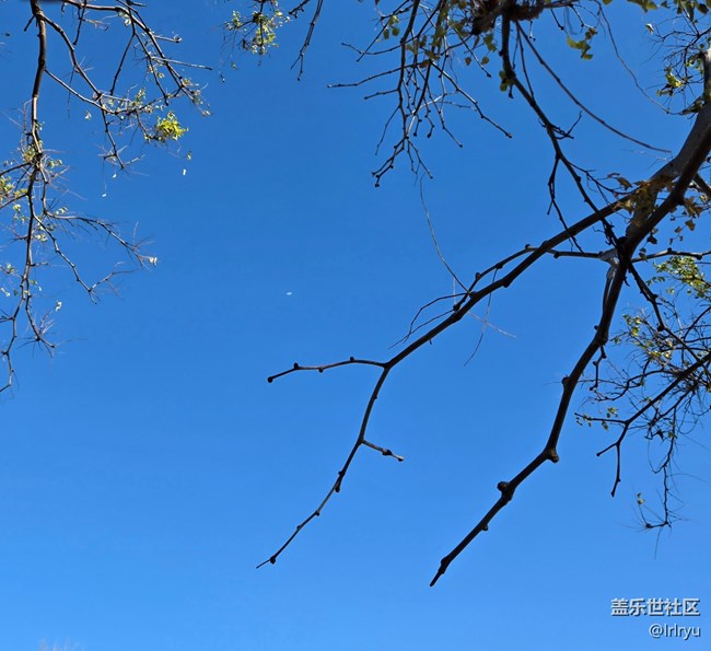 【簡而美】簡致秋色