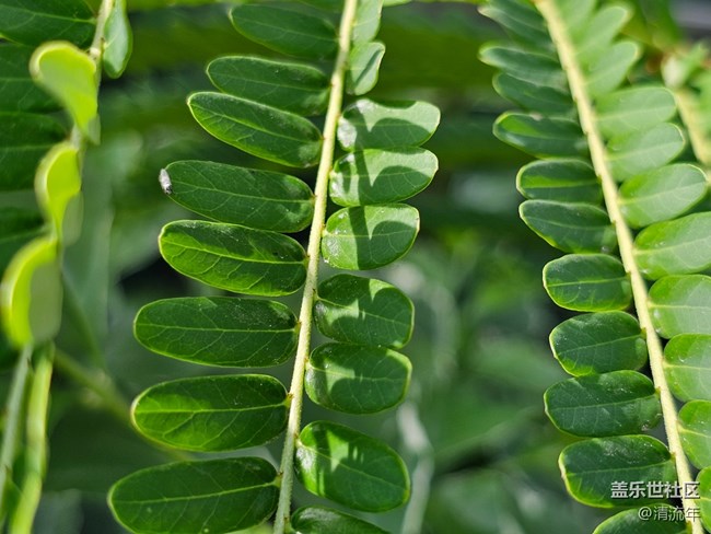 【國(guó)慶旅途】路過(guò)風(fēng)景