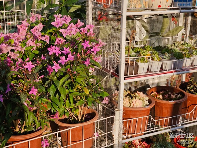 【世間的美好】好時光