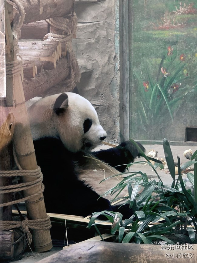 【生活小確幸】生活中的點(diǎn)點(diǎn)滴滴