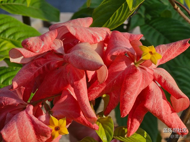 【世間的美好】好時光