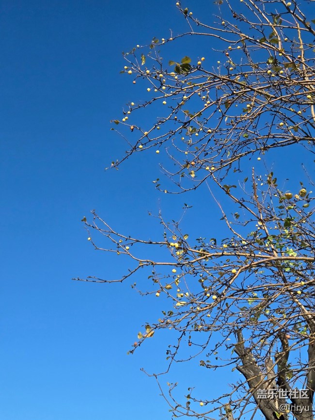 【簡而美】簡致秋色