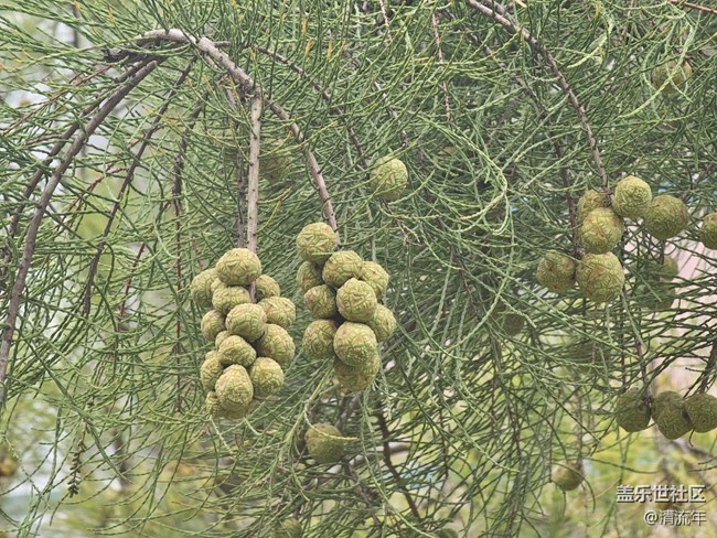 【秋季采風(fēng)計(jì)劃】戶外散步