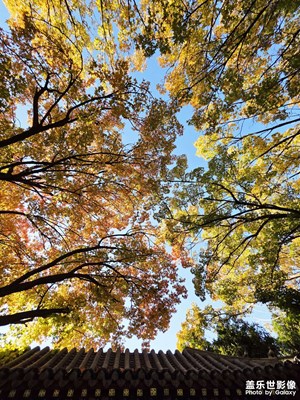 【色彩對話】秋色