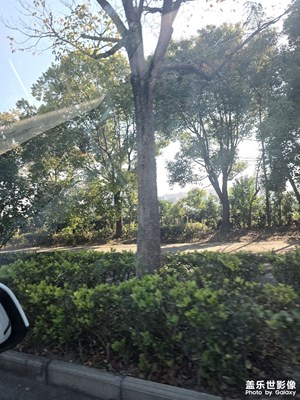 路上的風(fēng)景