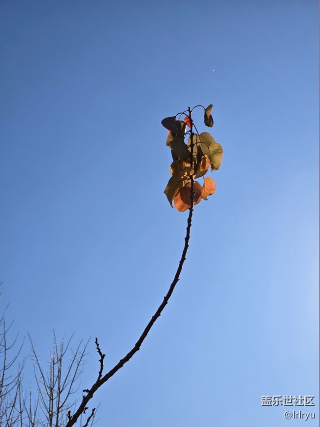 【簡而美】簡致秋色