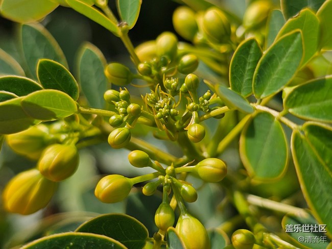 【國(guó)慶旅途】路過(guò)風(fēng)景