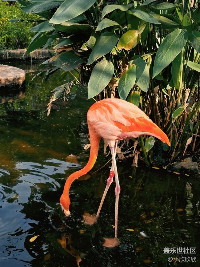 【生活小確幸】生活中的點(diǎn)點(diǎn)滴滴