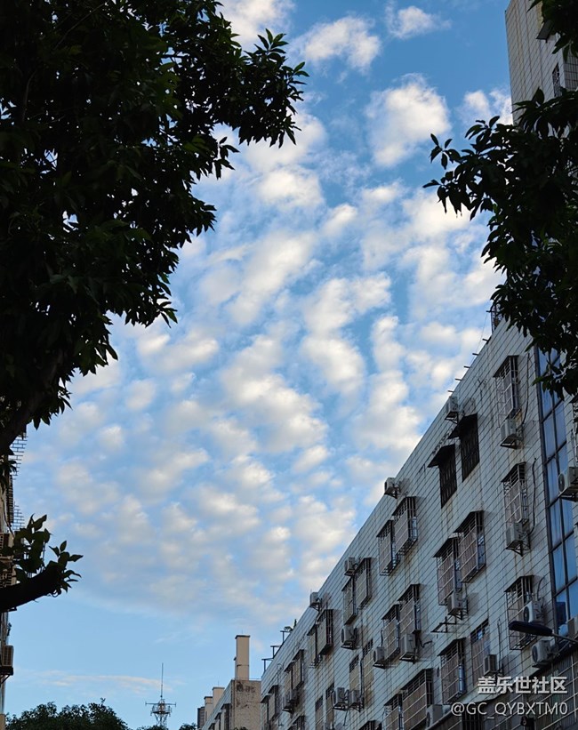 【秋季采風計劃】秋日天空