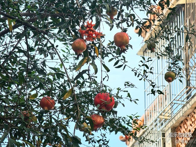 【國(guó)慶旅途】路過(guò)風(fēng)景