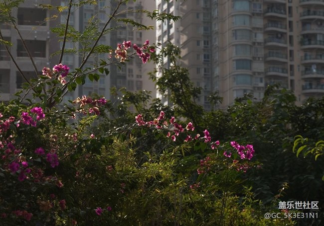 【秋季采風(fēng)計(jì)劃】時(shí)光靜好