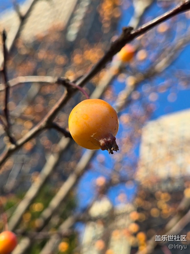 【Galaxy影像】#用微距，拉近距離