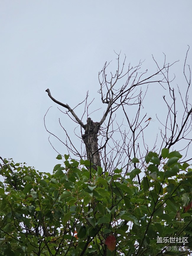 【秋季采風(fēng)計(jì)劃】戶外散步