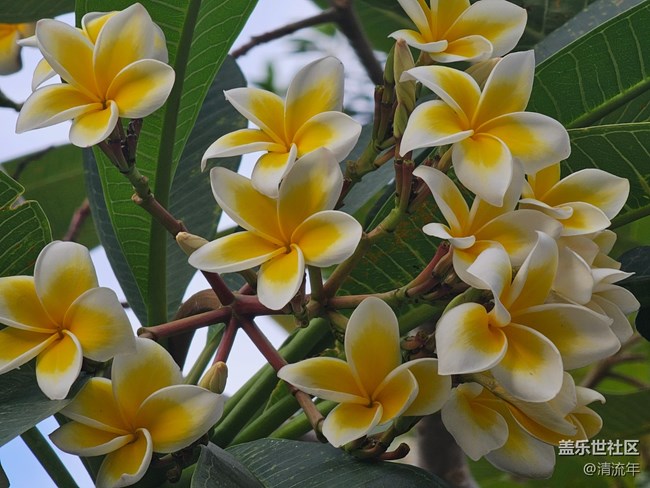 【世間的美好】好時光