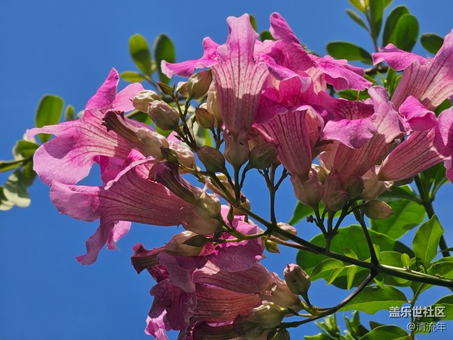 【國(guó)慶旅途】路過(guò)風(fēng)景